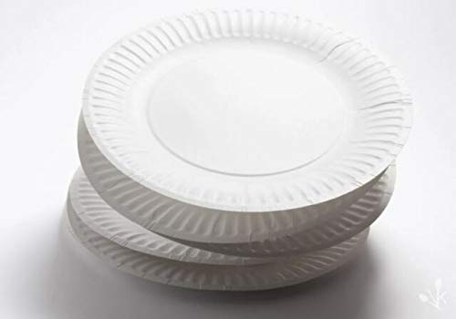 Paper Plates 9 inch/23cm - Pack of 100, Disposable Plates, Party Plate, Camping, Buffet