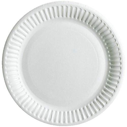 Paper Plates 9 inch/23cm - Pack of 100, Disposable Plates, Party Plate, Camping, Buffet