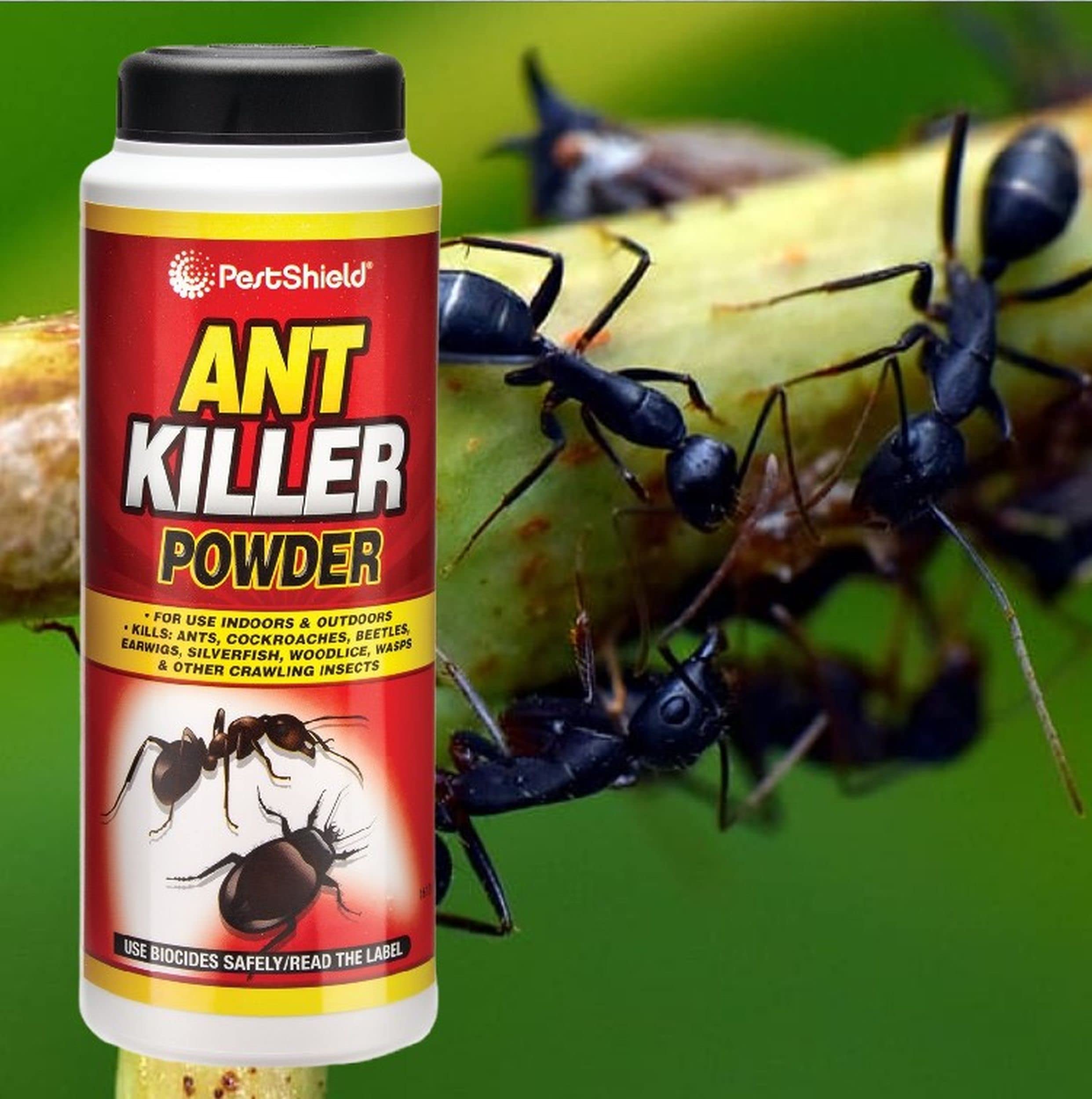 3 x Ant Killer Powder Wasp Nest Crawling & Flying Insect Pest Control Killer For Indoor & Outdoor Use 150g