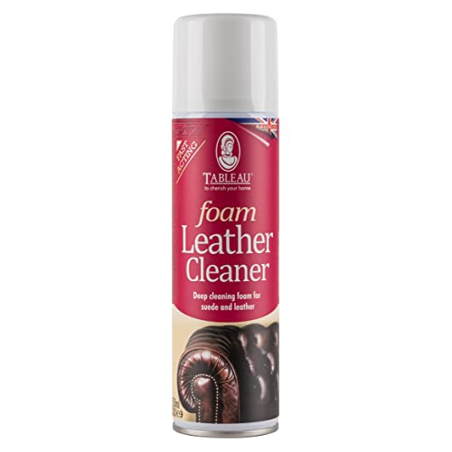 Tableau Foam Leather Cleaner, Deep Cleansing Foam for Suede and Leather. 250ml - Bargain Genie