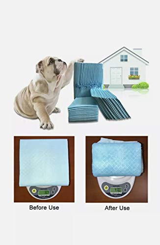 PET SHOP Puppy Training Pad/Disposable Puppy Pads/Litter Training Pad For Puppy/Dog mat for Incontinence/Absorbent Training Mat (Pack of 30)