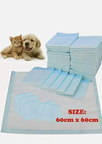 PET SHOP Puppy Training Pad/Disposable Puppy Pads/Litter Training Pad For Puppy/Dog mat for Incontinence/Absorbent Training Mat (Pack of 30)