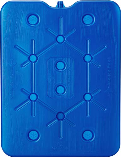 Thermos Reuseable Freeze Board - 200 g - Bargain Genie