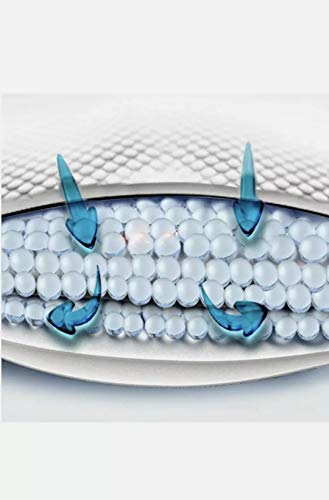 PET SHOP Puppy Training Pad/Disposable Puppy Pads/Litter Training Pad For Puppy/Dog mat for Incontinence/Absorbent Training Mat (Pack of 30)