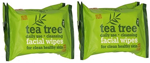 Tea Tree Daily Cleasing Facial Wipes for Clean & Healthy Skin (Twin Pack) Two Pack - Bargain Genie