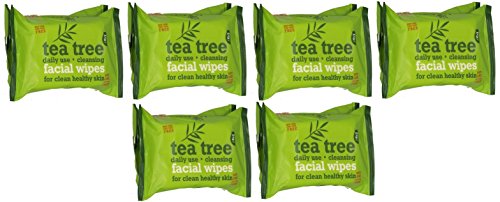 Tea Tree Daily Cleasing Facial Wipes For Clean & Healthy Skin (TWIN PACK) SIX PACK - Bargain Genie