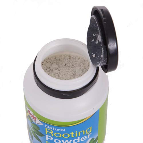 3 X Doff 75g Natural Hormone Rooting Powder