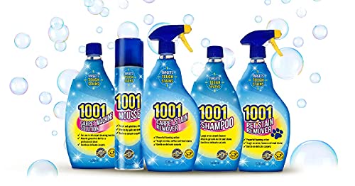 1001 CLEANING_AGENT - Bargain Genie