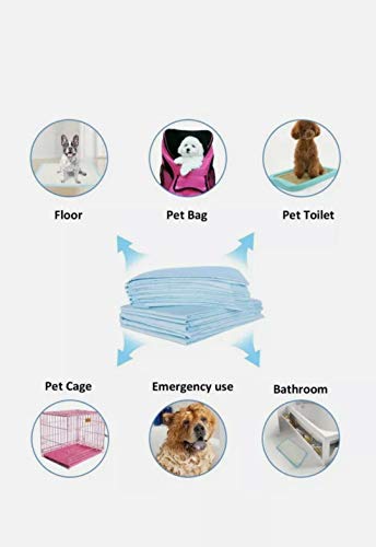 PET SHOP Puppy Training Pad/Disposable Puppy Pads/Litter Training Pad For Puppy/Dog mat for Incontinence/Absorbent Training Mat (Pack of 30)