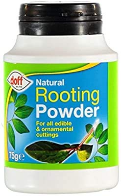 3 X Doff 75g Natural Hormone Rooting Powder