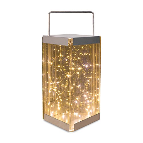 Anika 62190 Glass Reflections Lantern with 30 Warm White Battery Operated LED Rice Lights, Packaging may vary - Bargain Genie