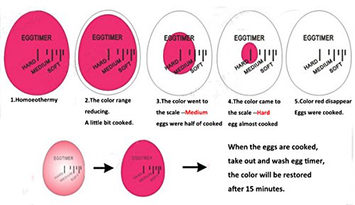 2 Pack Colour Changing Egg Timer, Bidear Heat Sensitive Egg Timer in Boil Water for Kitchen