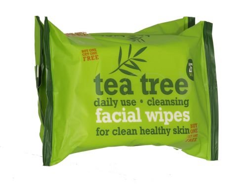 Tea Tree Daily Cleasing Facial Wipes for Clean & Healthy Skin (Twin Pack) Two Pack - Bargain Genie