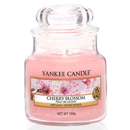 Yankee Candle Scented Candle | Cherry Blossom Small Jar Candle | Burn Time: Up to 30 Hours - Bargain Genie