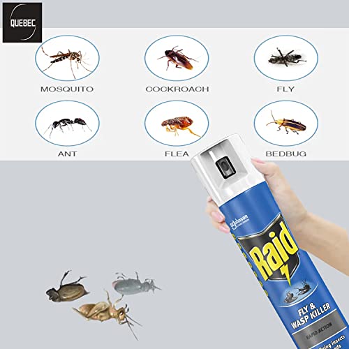 Quebec - Raid Rapid Action Fly- Indoor Raid Flying Insect Killer -Eliminates insects in seconds- Spray Leaves Neutral Scent-Wasp Killer Spray 300ml- Pack of 2