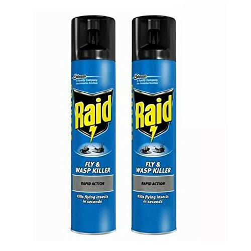 2 x Fly Wasp Killer Rapid Action Spray Can 300ml - Bargain Genie