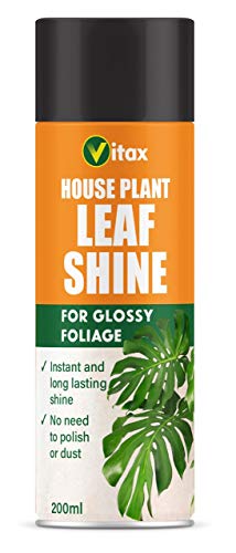 VITAX Leaf Shine AEROSOL 200ML - Bargain Genie