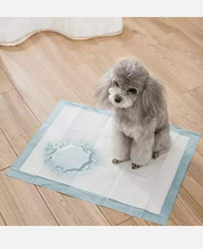 PET SHOP Puppy Training Pad/Disposable Puppy Pads/Litter Training Pad For Puppy/Dog mat for Incontinence/Absorbent Training Mat (Pack of 30)