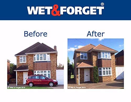 Wet & Forget 2+2 Litre Mould, Lichen and Algae Remover - Bargain Genie