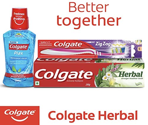 Colgate Herbal Toothpaste, Mint, 1.3 kg - Bargain Genie