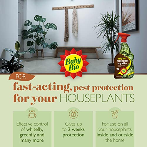 Baby Bio Leaf Shine Houseplant Care, Ready-to-use - Bargain Genie