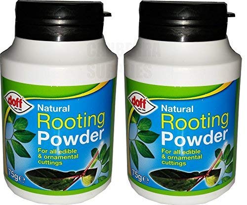 2 X Doff 75g Natural Hormone Rooting Powder - Bargain Genie