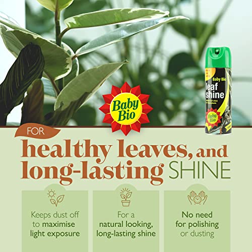 Baby Bio Leaf Shine Houseplant Care, Ready-to-use - Bargain Genie