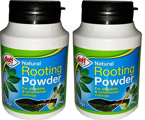 2 x DOFF NATURAL ROOTING POWDER FOR EDIBLE PLANTS & CUTTINGS 75G - DIPPING POT - Bargain Genie