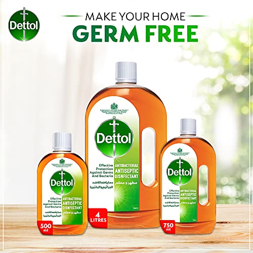 Dettol CLEANING_AGENT - Bargain Genie