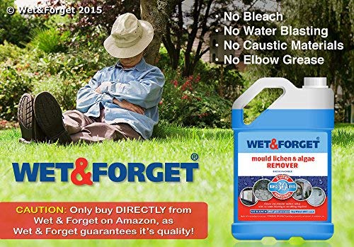 Wet & Forget 2+2 Litre Mould, Lichen and Algae Remover - Bargain Genie